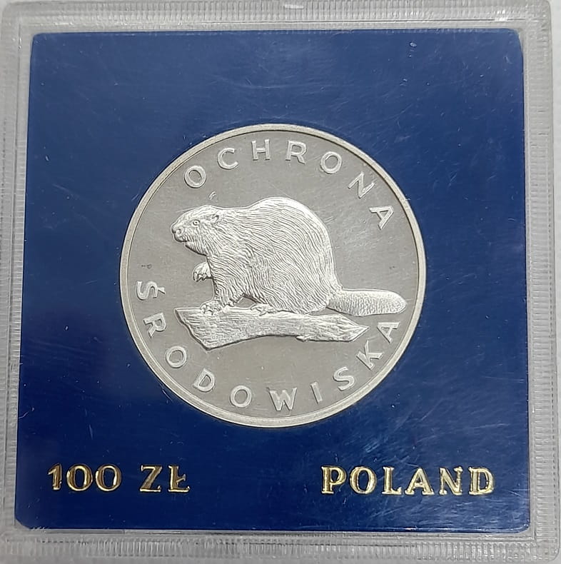 Moneta 100 zł Bóbr 1978