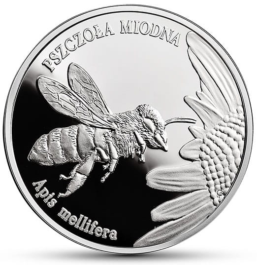 Moneta 20 zł Pszczoła miodna 2015