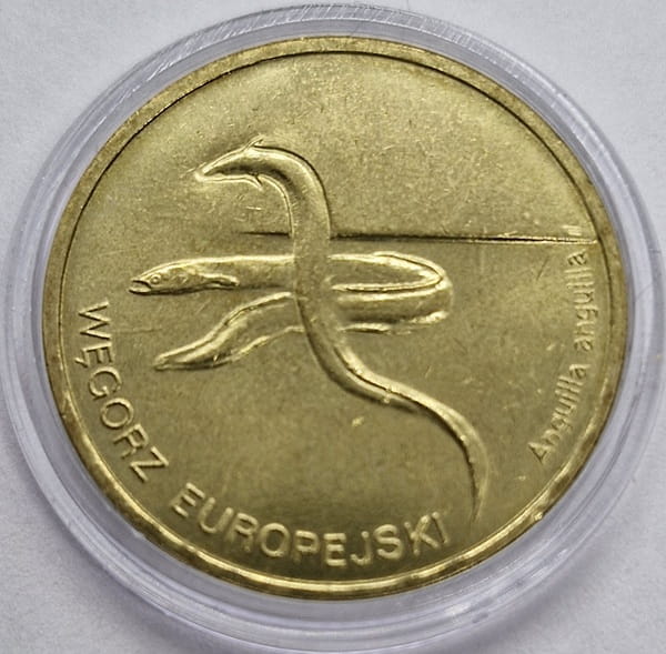 Moneta 2 zł Węgorz europejski 2003