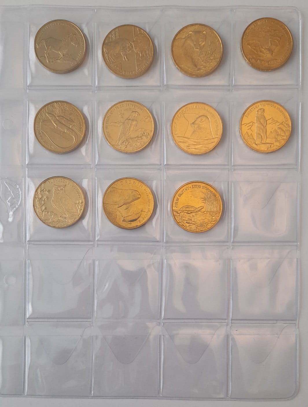 Zestaw 2 zł GN Zwierzęta świata + strona 11 szt.