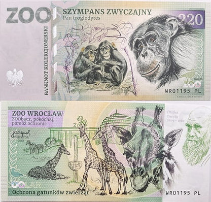 Banknot Szympans zwyczajny zoo Wrocław
