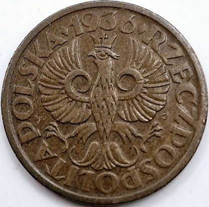 Moneta 1 grosz 1936