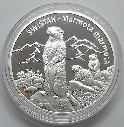 Moneta 20 zł Świstak 2006