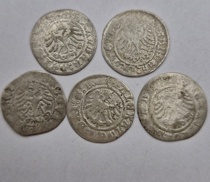 Moneta Półgrosz Aleksander Jagiellończyk 1502-1506 oryginalne