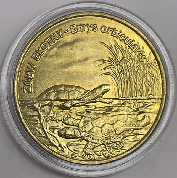 Moneta 2 zł żółw błotny 2002