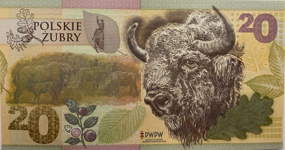 Polskie Żubry PWPW 2019 r. banknot testowy