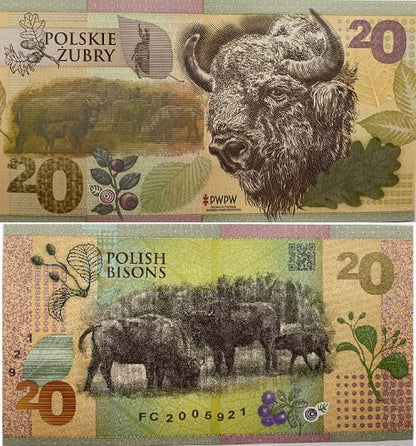 Polskie Żubry PWPW 2019 r. banknot testowy