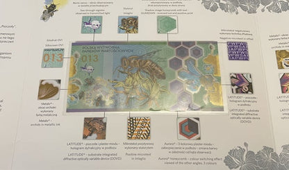 Pszczoła Miodna 013 PWPW 2013 r. folder banknot testowy